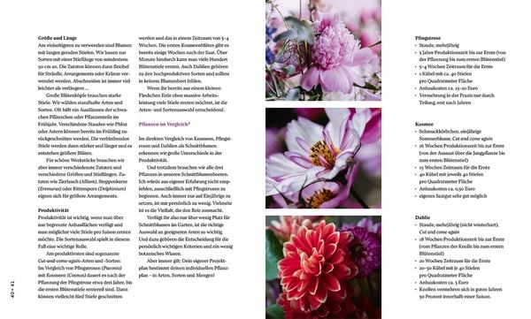 Nachhaltige Schnittblumen