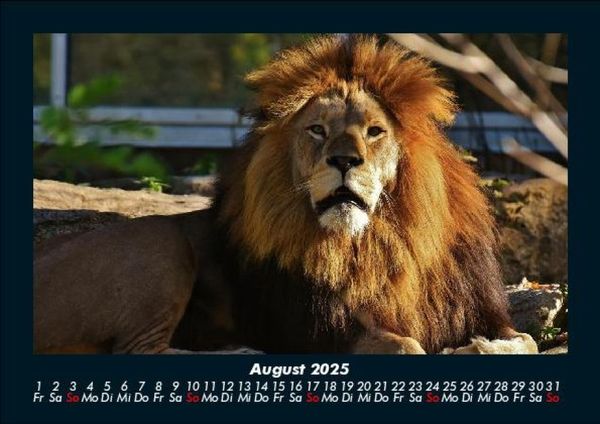 Produktbild: Welt der Tiere 2025 Fotokalender DIN A5