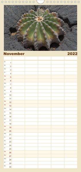 Produktbild: Familienplaner Faszination Kakteen (Wandkalender 2022 , 21 cm x 45 cm, hoch)