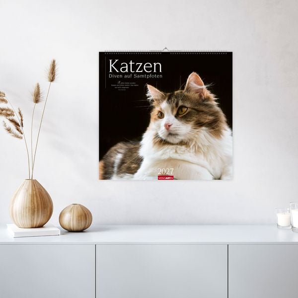 Produktbild: Katzen - Diven auf Samtpfoten Kalender 2027 - Diven auf Samtpfoten