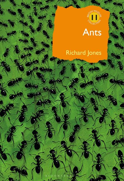 Produktbild: Ants
