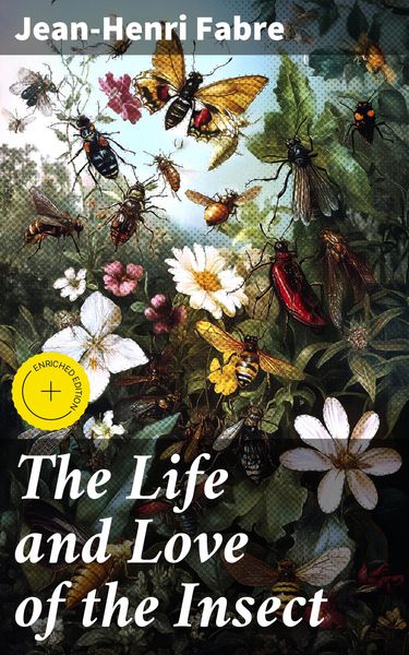 Produktbild: The Life and Love of the Insect