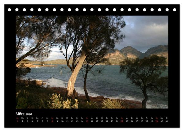 Produktbild: W&auml;lder, fotografiert auf vier Kontinenten (Tischkalender 2026 DIN A5 quer), CALVENDO Monatskalender