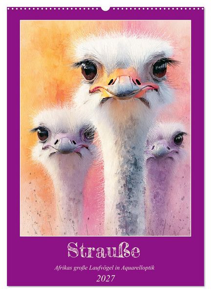 Produktbild: Strau&szlig;e. Afrikas gro&szlig;e Laufv&ouml;gel in Aquarelloptik (Wandkalender 2027 DIN A2 hoch), CALVENDO Monatskalender