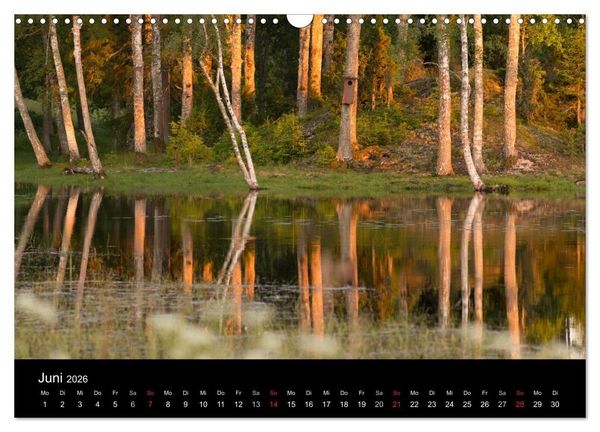 Produktbild: Schweden im Wechsel der Jahreszeiten (Wandkalender 2026 DIN A3 quer), CALVENDO Monatskalender