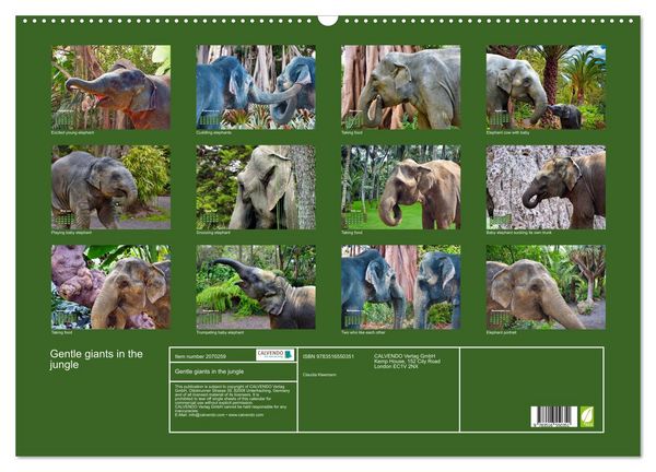 Produktbild: Gentle giants in the jungle (Wall Calendar 2026 DIN A2 landscape), CALVENDO 12 Month Wall Calendar