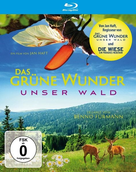 Das grüne Wunder - Unser Wald