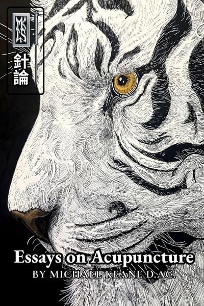 Produktbild: Essays on Acupuncture