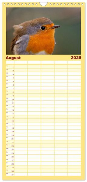 Produktbild: Familienplaner 2026 - Rotkehlchen - Fotografiert von Ostfriesenfotografie mit 5 Spalten (Wandkalender, 21 x 45 cm) CALVENDO