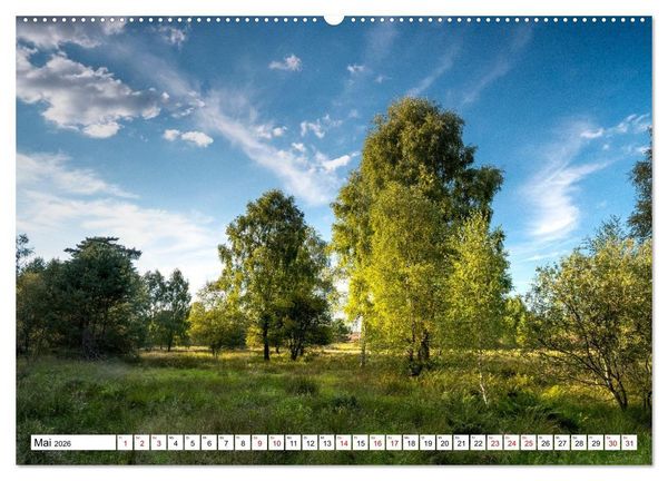 Produktbild: L&uuml;neburger Heide: Die Nordheide (hochwertiger Premium Wandkalender 2026 DIN A2 quer), Kunstdruck in Hochglanz