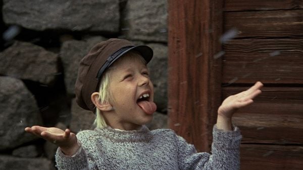 Produktbild: Michel aus L&ouml;nneberga - Spielfilm-Komplettbox [3 DVDs]