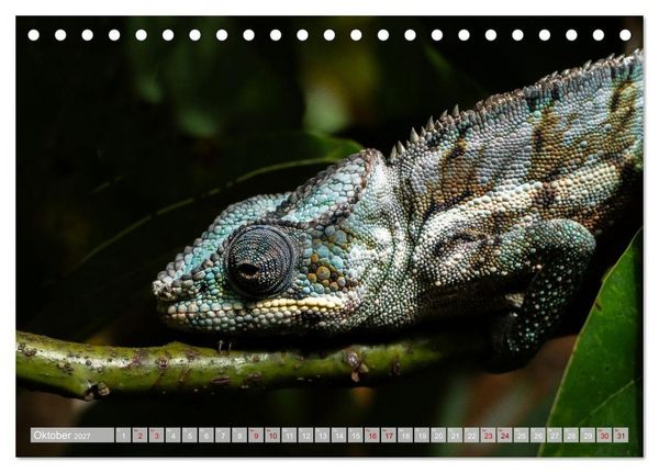 Produktbild: Wildnis Madagaskar (Tischkalender 2027 DIN A5 quer), CALVENDO Monatskalender