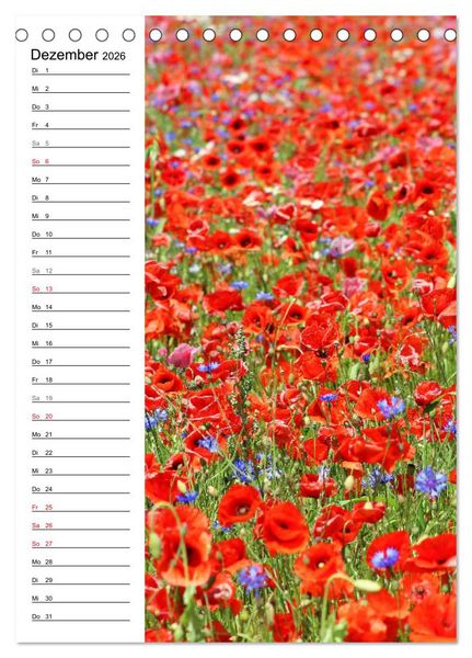 Produktbild: Mohn, zarte Bl&uuml;ten, starke Farben, der Geburtstagskalender (Tischkalender 2026 DIN A5 hoch), CALVENDO Monatskalender