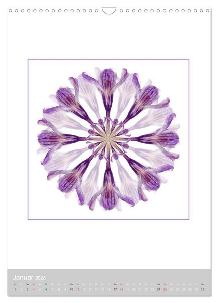 Produktbild: Pflanzen - Mandalas aus Bl&uuml;ten und Bl&auml;ttern (Wandkalender 2026 DIN A3 hoch), CALVENDO Monatskalender