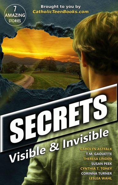Produktbild: Secrets: Visible & Invisible (Visible & Invisible Series)