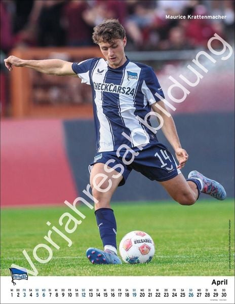 Produktbild: Hertha BSC Posterkalender 2027