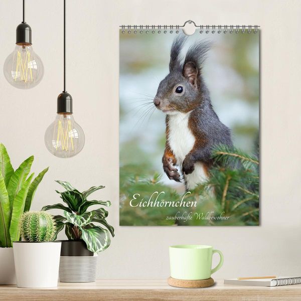 Produktbild: Eichh&ouml;rnchen - zauberhafte Waldbewohner (Wandkalender 2026 DIN A4 hoch), CALVENDO Monatskalender