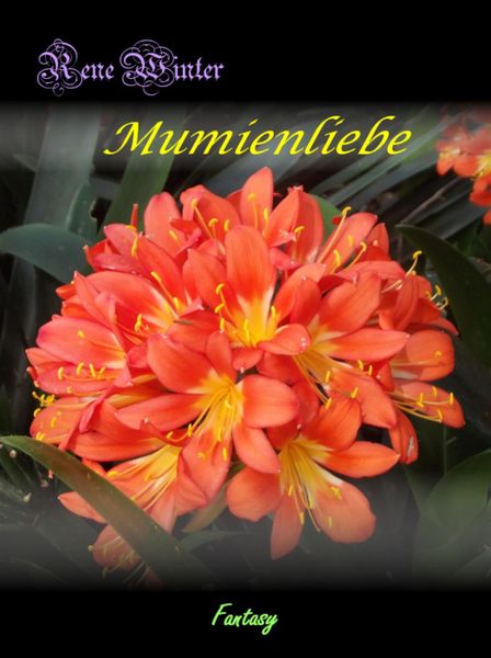 Produktbild: Mumienliebe