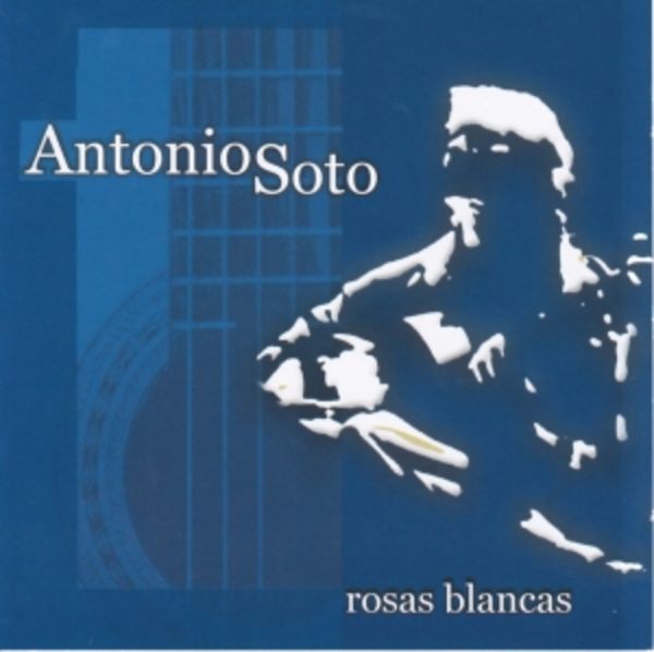 Rosas Blancas