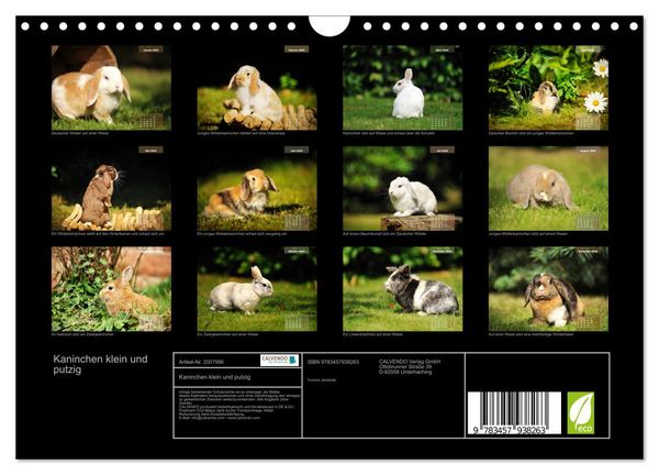 Produktbild: Kaninchen klein und putzig (Wandkalender 2026 DIN A4 quer), CALVENDO Monatskalender