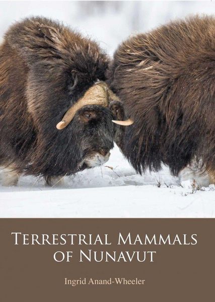 Produktbild: Terrestrial Mammals of Nunavut