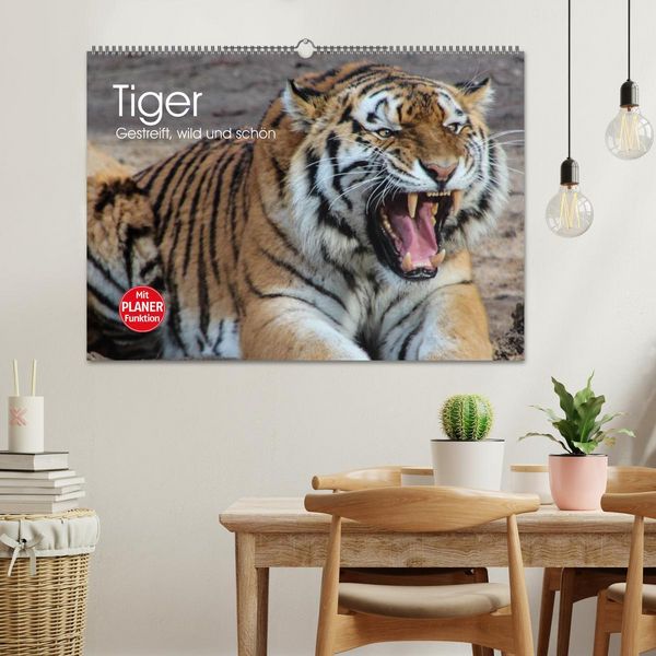 Produktbild: Tiger. Gestreift, wild und sch&ouml;n (Wandkalender 2026 DIN A2 quer), CALVENDO Monatskalender