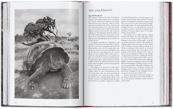 Produktbild: Sebasti&atilde;o Salgado