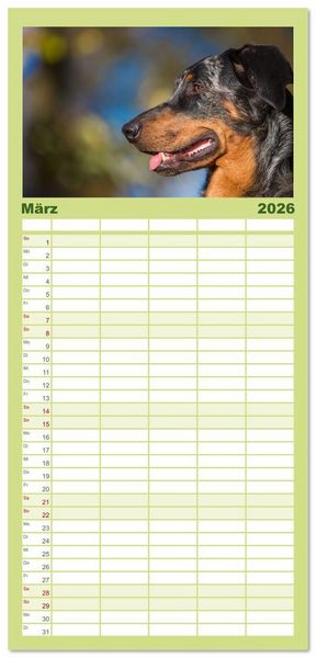 Produktbild: Familienplaner 2026 - Der Beauceron mit 5 Spalten (Wandkalender, 21 x 45 cm) CALVENDO