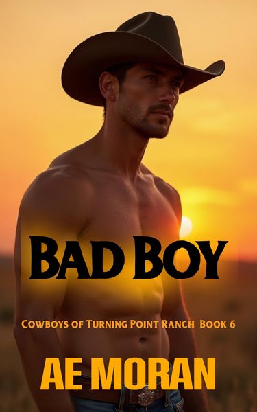 Produktbild: Bad Boy (Cowboys of Turning Point Ranch, #6)