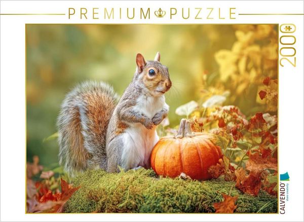 CALVENDO Puzzle Eichhörnchenliebe | 2000 Teile Lege-Größe 90x67cm Foto-Puzzle für glückliche Stunden