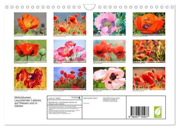 Produktbild: Mohnblumen. Leuchtender Liebreiz auf Wiesen und in G&auml;rten (Wandkalender 2026 DIN A4 quer), CALVENDO Monatskalender