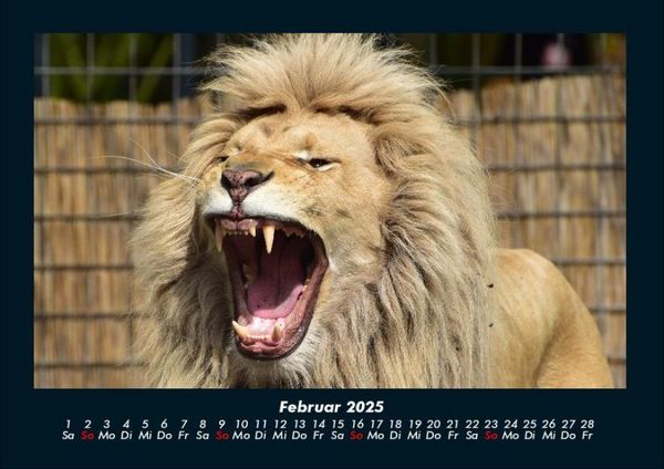 Produktbild: Welt der Tiere 2025 Fotokalender DIN A4