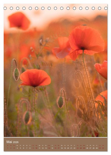 Produktbild: Mohnblumen - kraftvoll und zart (Tischkalender 2026 DIN A5 hoch), CALVENDO Monatskalender