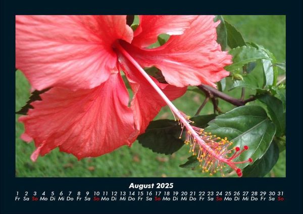 Produktbild: Blumentr&auml;ume 2025 Fotokalender DIN A4
