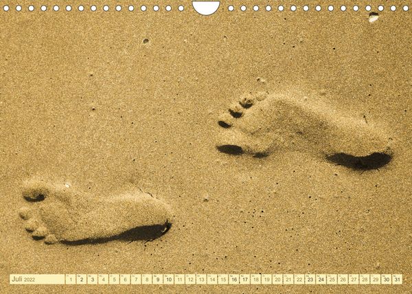 Produktbild: Am Strand - Fundst&uuml;cke und Kunstwerke (Wandkalender 2022 DIN A4 quer)