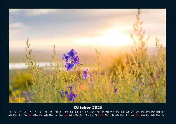 Produktbild: Blumenkalender 2025 Fotokalender DIN A4