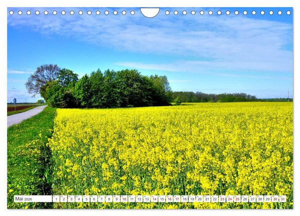 Produktbild: Gr&uuml;nes Estland - Naturparadies am Baltischen Meer (Wandkalender 2026 DIN A4 quer), CALVENDO Monatskalender