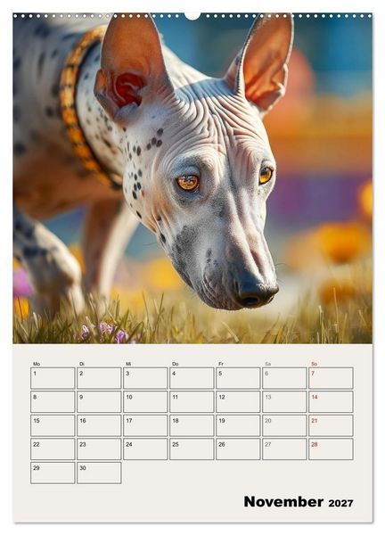 Produktbild: Xolos. Seelenhunde aus Mexiko (Wandkalender 2027 DIN A2 hoch), CALVENDO Monatskalender