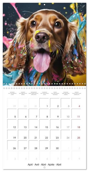 Produktbild: Colourful Splash Dogs (Wall Calendar 2027 12 &times; 12 Inch) CALVENDO 12 Month Wall Calendar