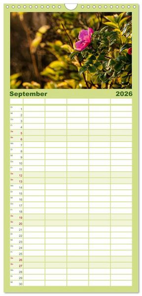 Produktbild: Familienplaner 2026 - Traumziel D&auml;nemark mit 5 Spalten (Wandkalender, 21 x 45 cm) CALVENDO