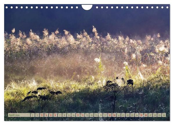 Produktbild: Morgengl&uuml;hen & Nebelschimmer (Wandkalender 2026 DIN A4 quer), CALVENDO Monatskalender