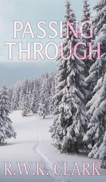Produktbild: Passing Through