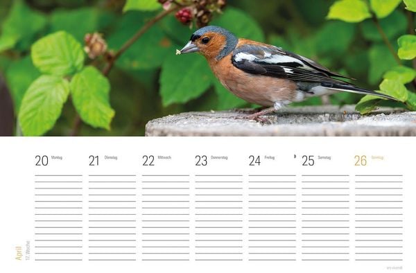 Produktbild: Tischkalender Vogel 2027