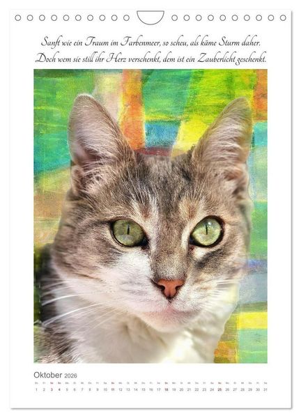Produktbild: Katzenlyrik - Zw&ouml;lf Seelen auf Samtpfoten in Wort und Bild (Wandkalender 2026 DIN A4 hoch), CALVENDO Monatskalender