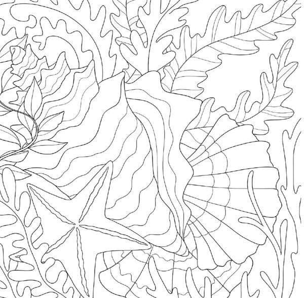 Produktbild: Colorful Secrets - Faszination Meer (Ausmalen auf Zauberpapier)