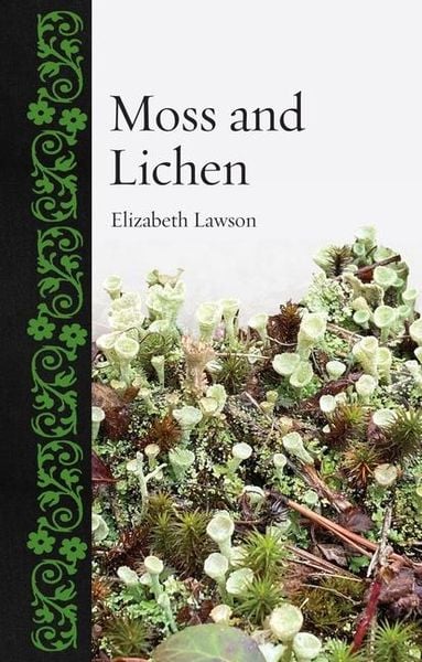 Produktbild: Moss and Lichen