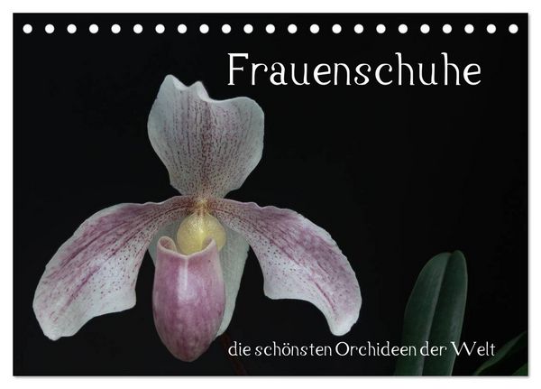 Produktbild: Frauenschuhe - die sch&ouml;nsten Orchideen der Welt (Tischkalender 2026 DIN A5 quer), CALVENDO Monatskalender