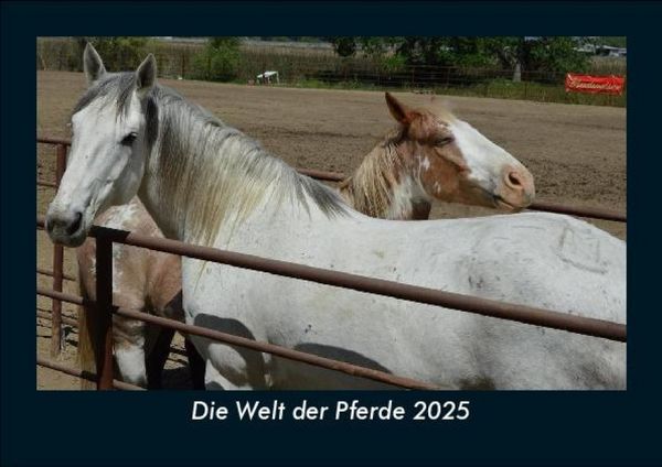 Produktbild: Die Welt der Pferde 2025 Fotokalender DIN A5