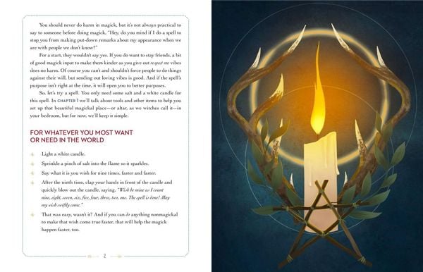 Produktbild: The Young Witch's Guide to Magick