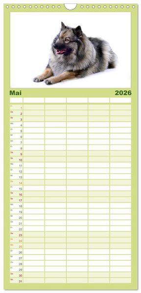 Produktbild: Familienplaner 2026 - Der Wolfsspitz mit 5 Spalten (Wandkalender, 21 x 45 cm) CALVENDO